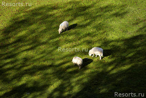 Hotel Trianon Palace & Spa, A Westin Hotel 11